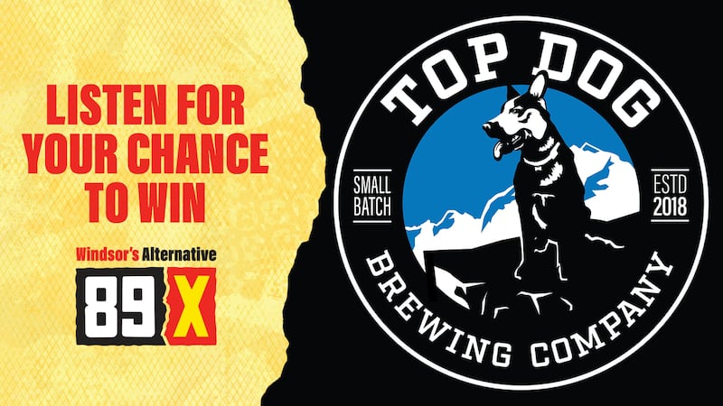 Top Dog Brewing Company Afternoons