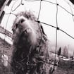 Elderly Woman Behind the Counter in a Small Town by Pearl Jam