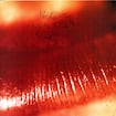 Just like Heaven by The Cure