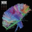 Madness by Muse
