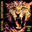 Tonight by Social Distortion