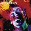 Man in the Box by Alice in Chains