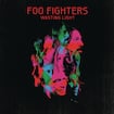 These Days by Foo Fighters
