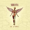 Heart-Shaped Box by Nirvana
